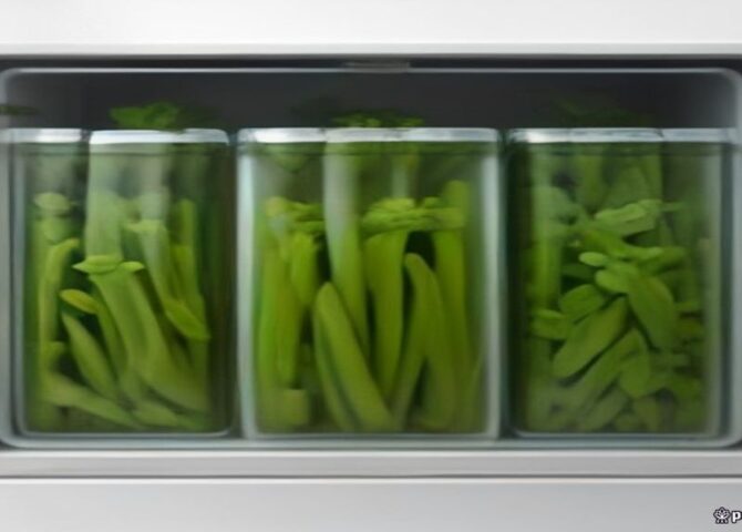 cara mengelola stok bahan makanan segar dapur